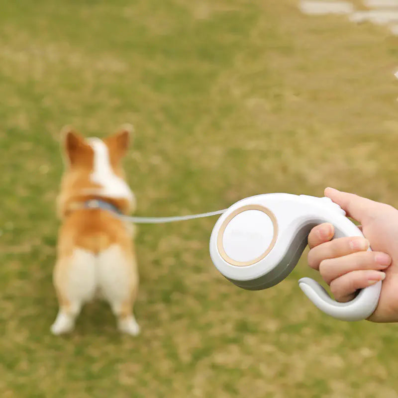 Automatic Retractable Dog Leash for Pet Supplies