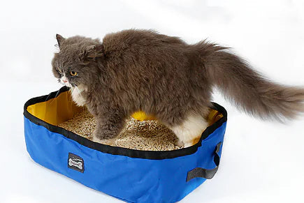 Portable Folding Cat Litter Box - Pet Supplies
