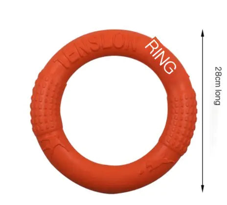 Interactive EVA Training Ring